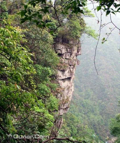 井冈山最新消息----羊狮慕峭崖上的秋色