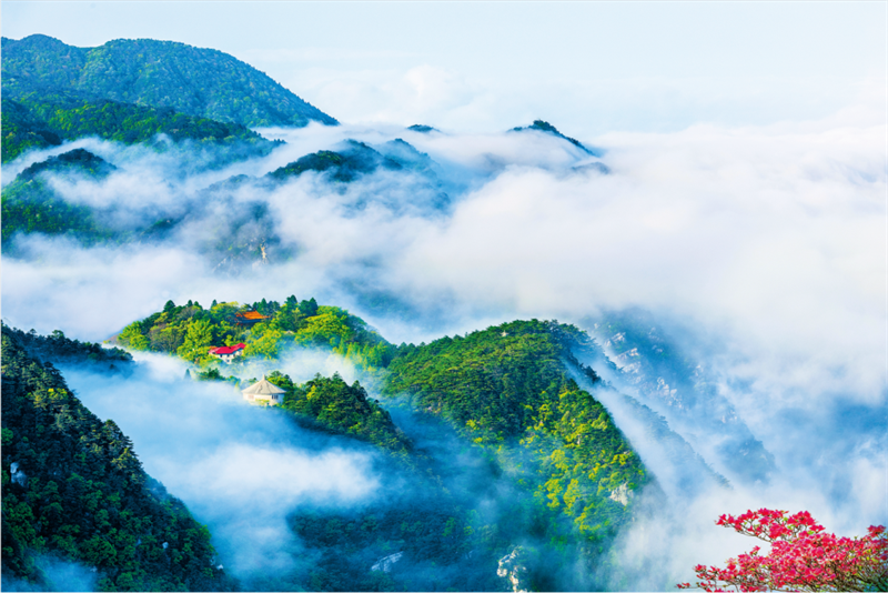 江西景区这十年：风景独好 业态焕新